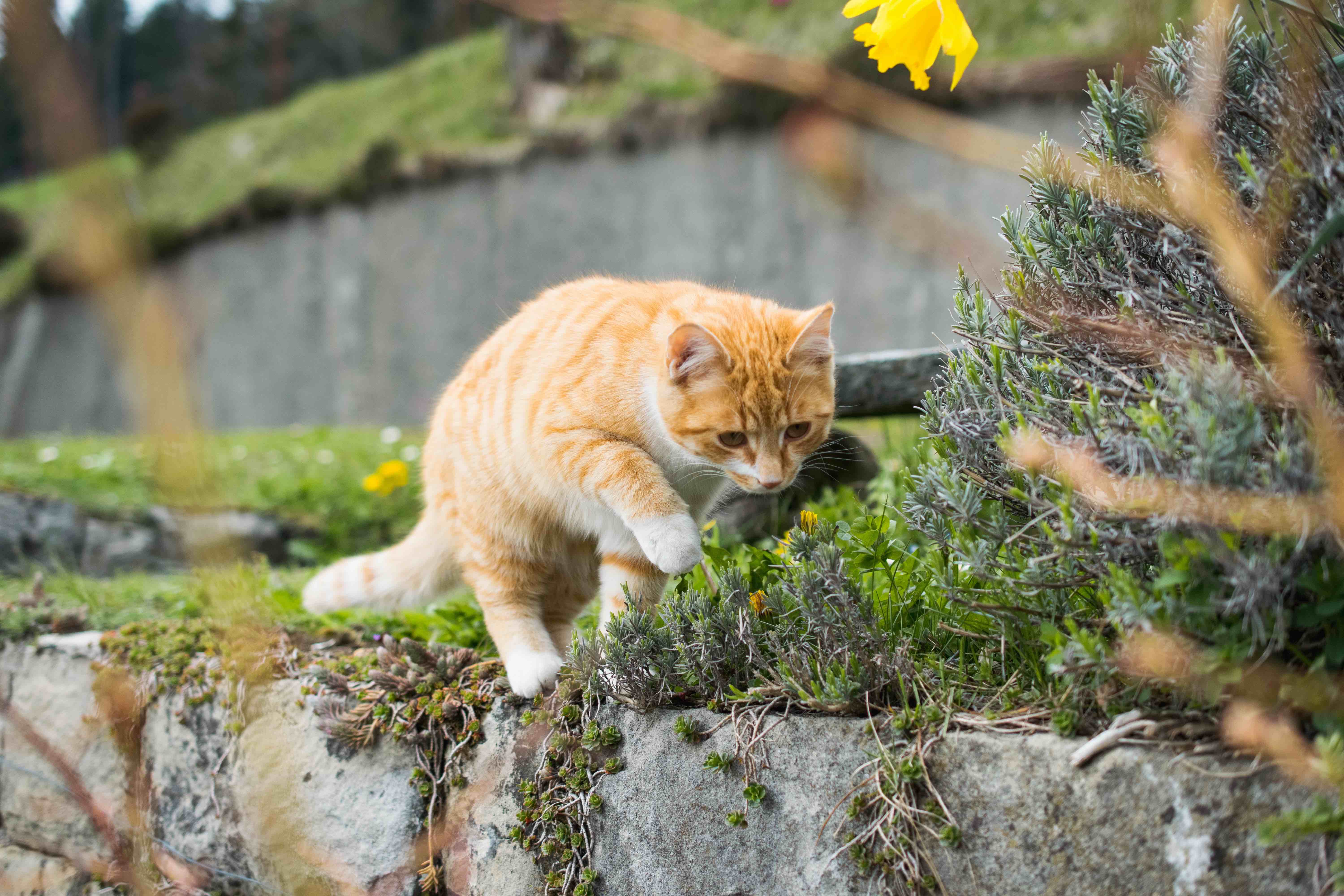 Contact L MEW