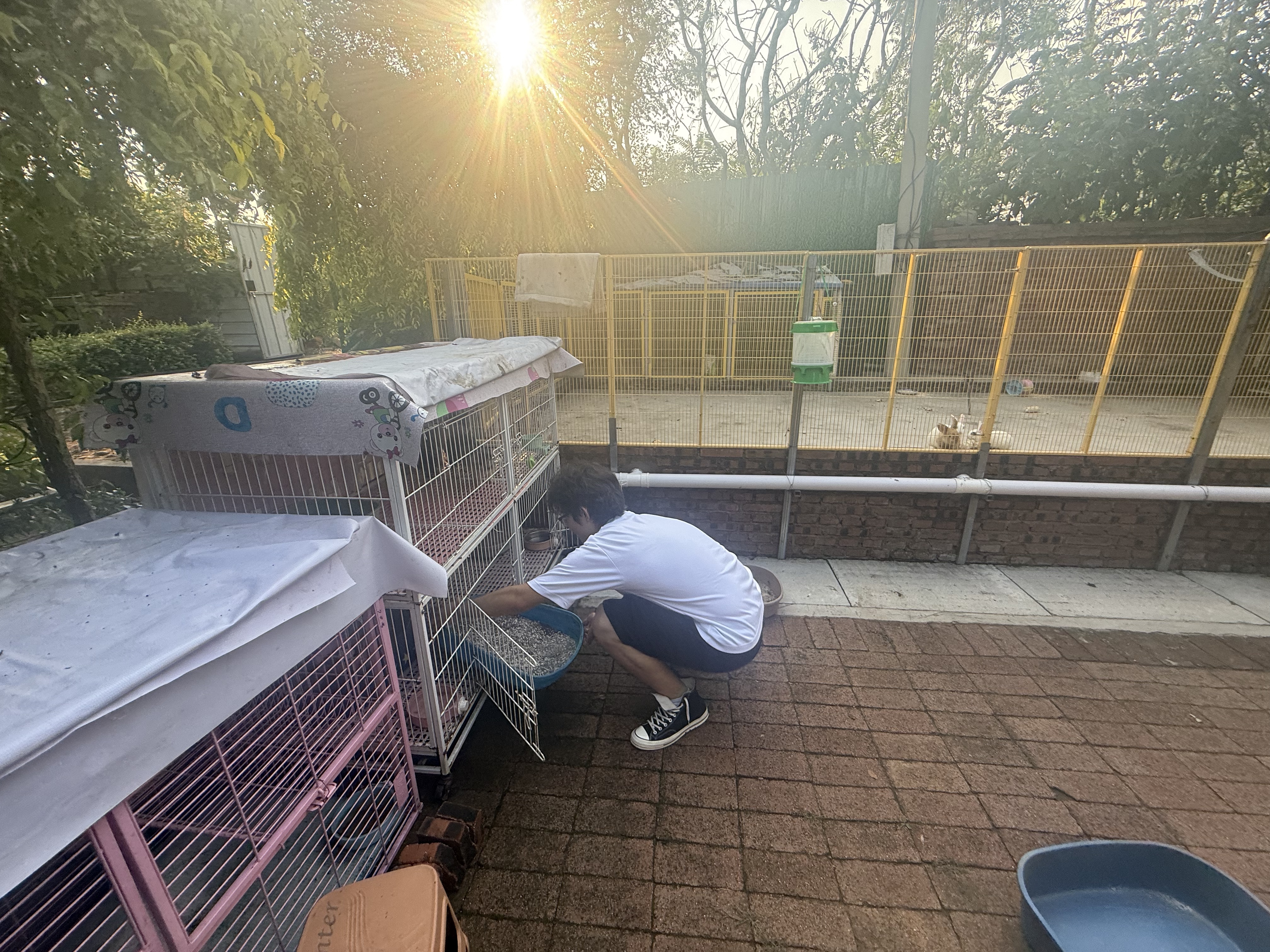Cleaning the Cages