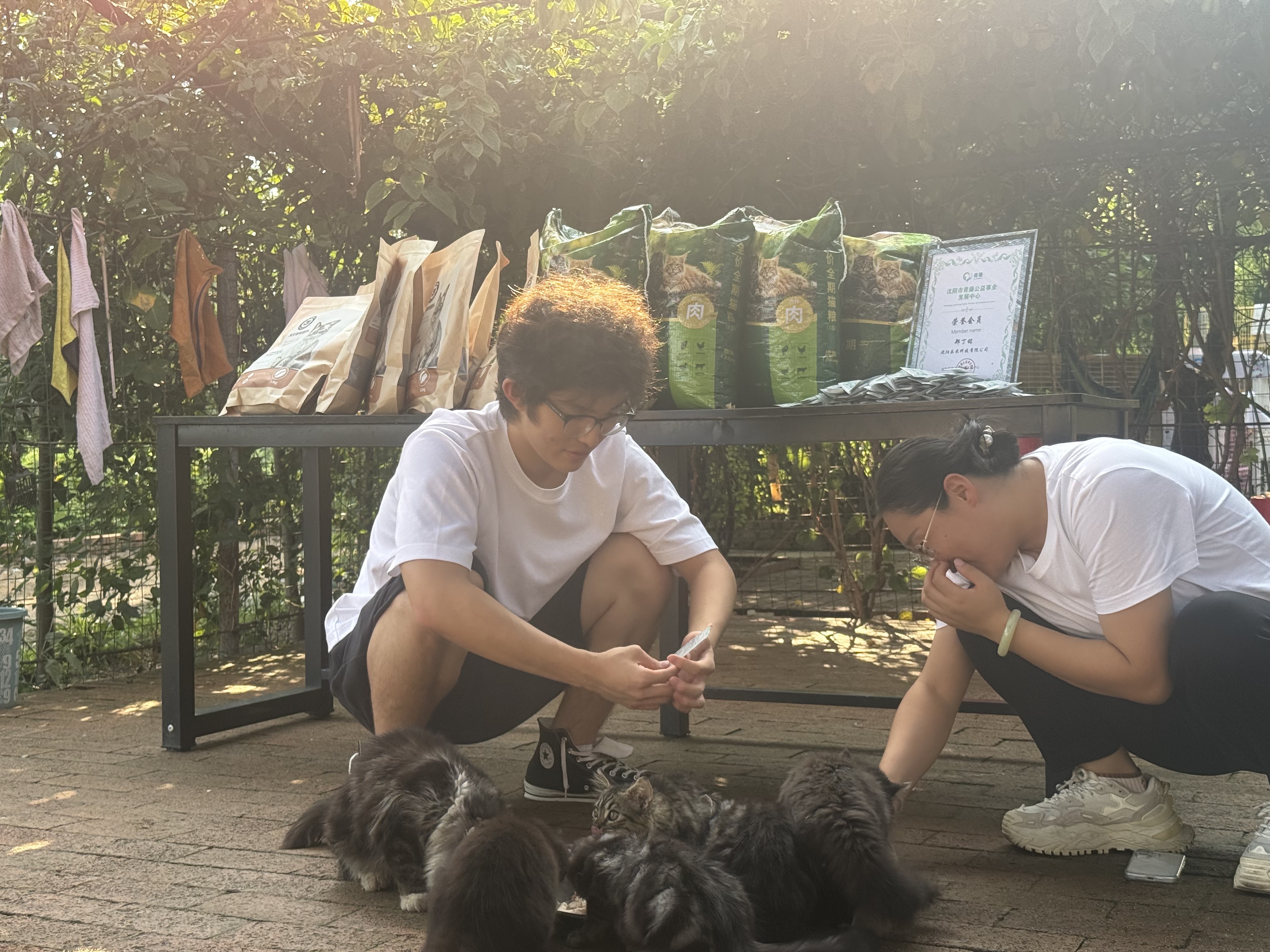 Reality Facing Rescue Shelters