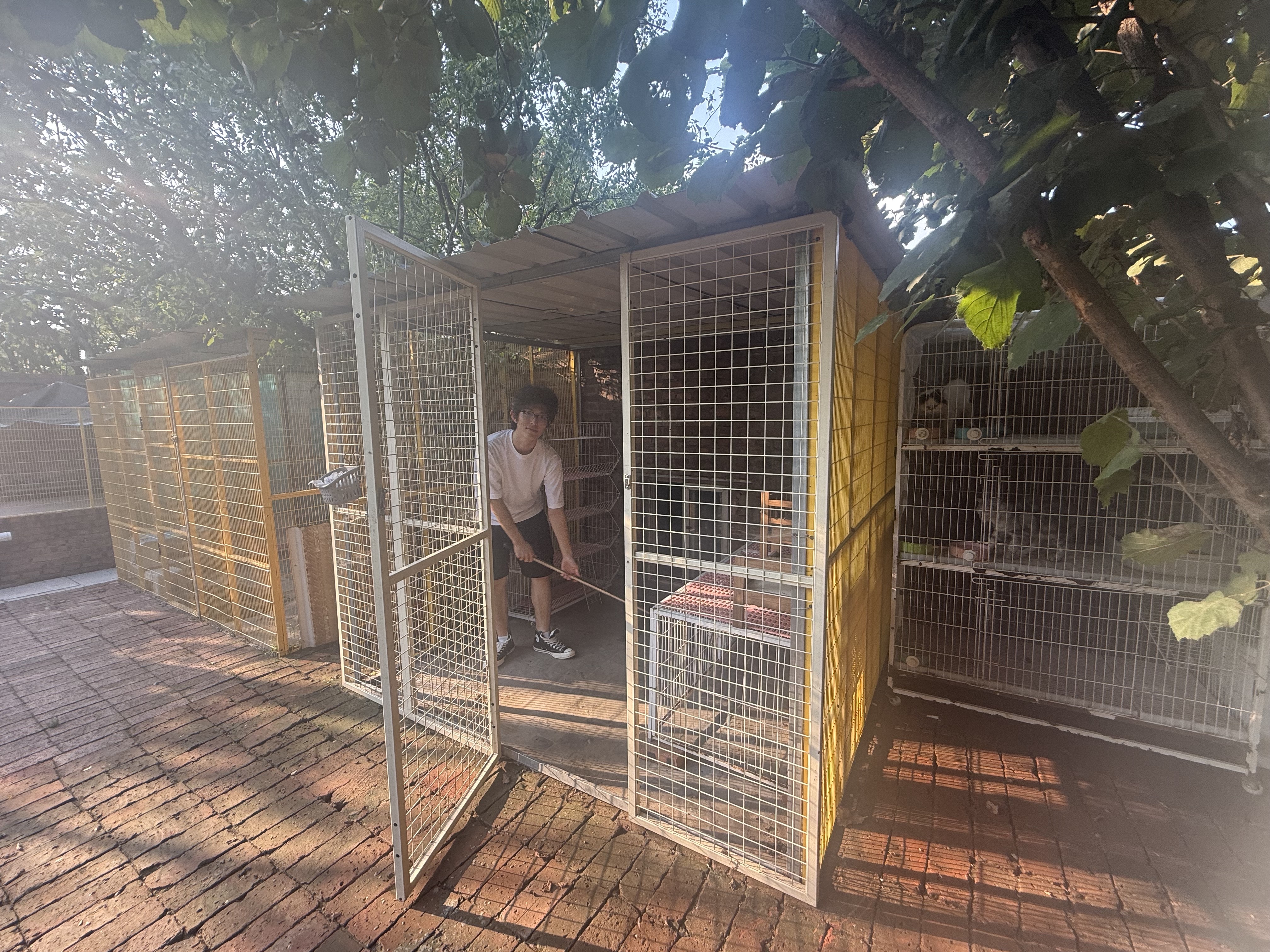 Cleaning the Cat Shelter